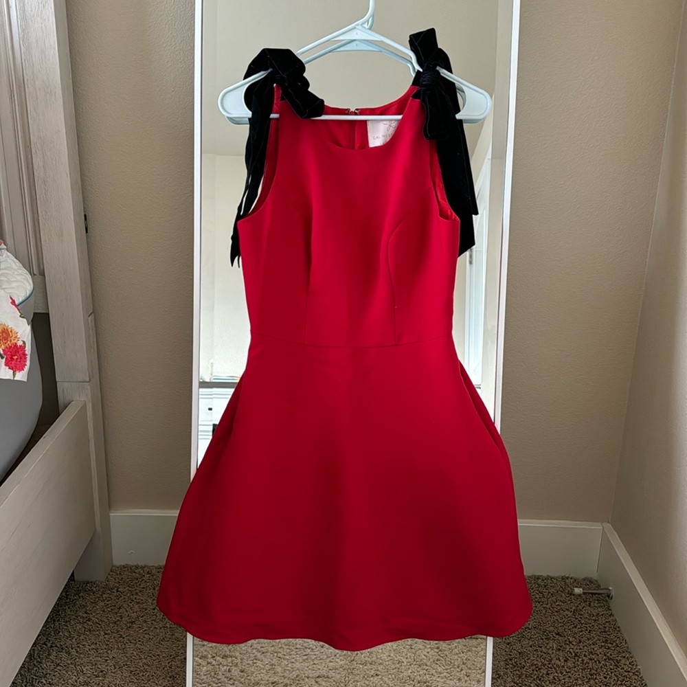 Gal Meets Glam Zara Fit and Flare Dress